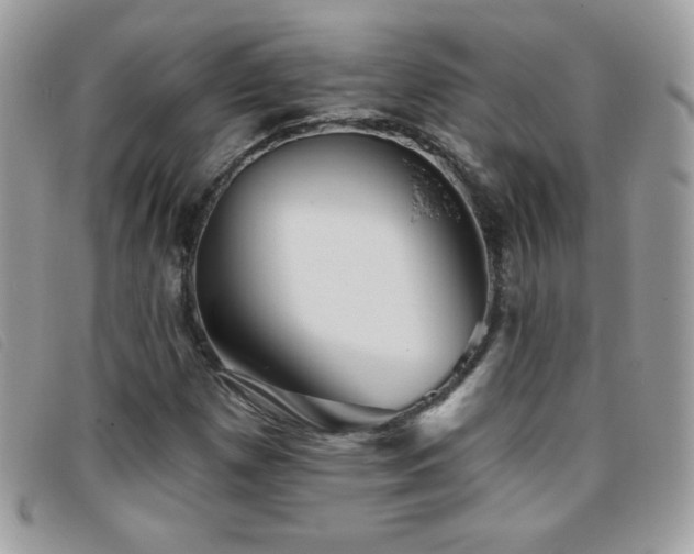 X0000095881257200801111125