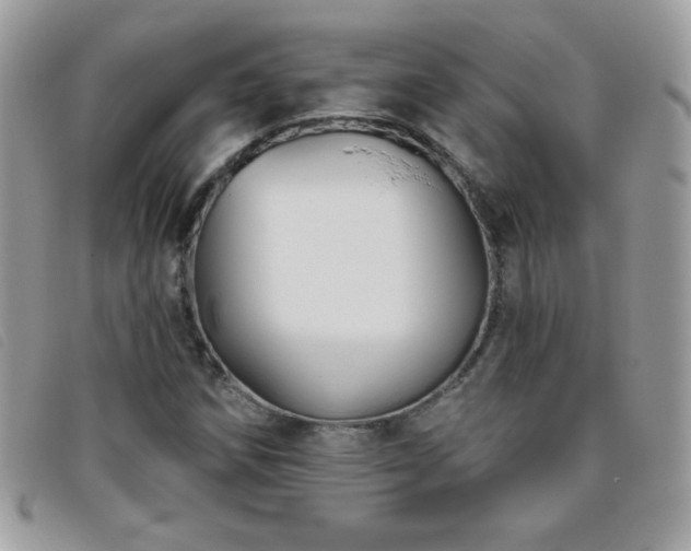 X0000095881258200801111125