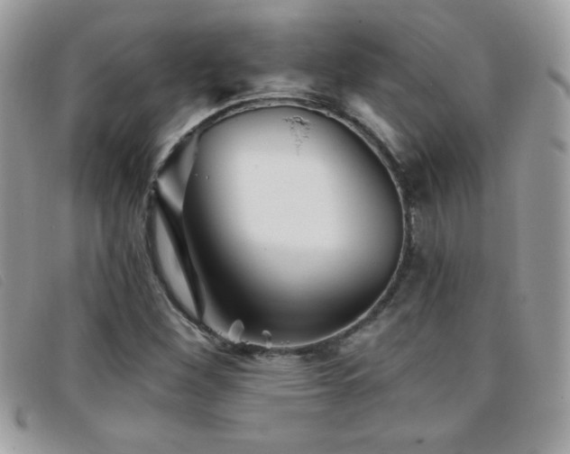 X0000095881260200801111125