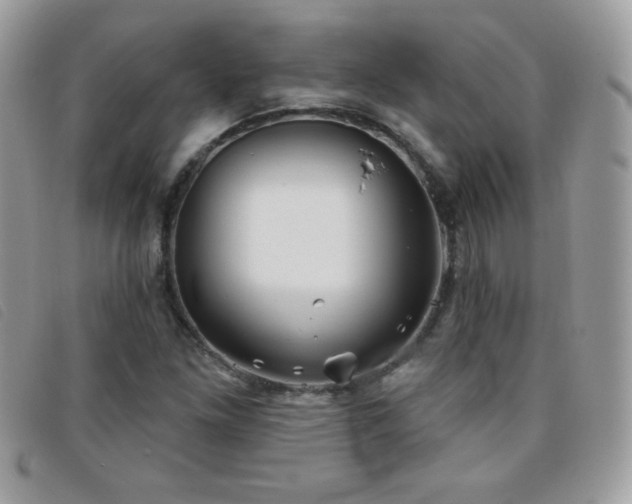 X0000095881261200801111125
