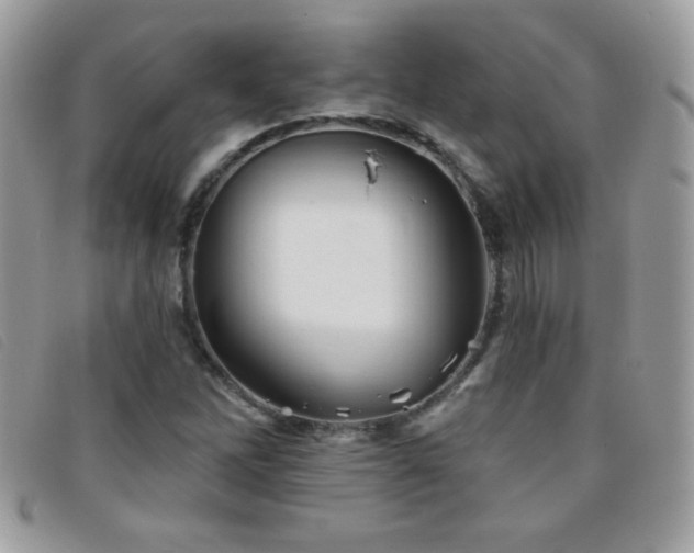 X0000095881262200801111125