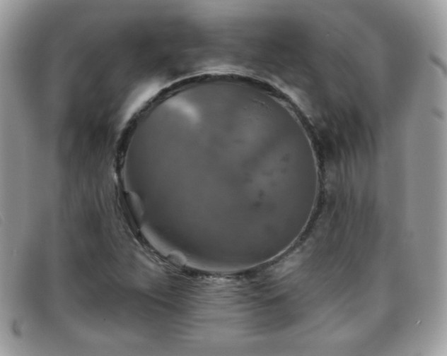 X0000095881263200801111125