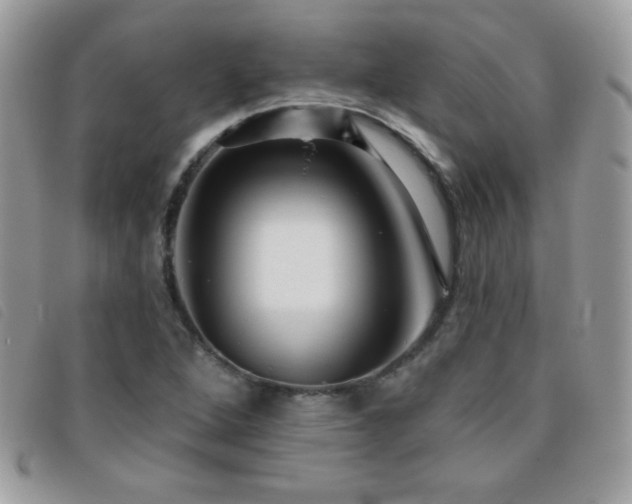 X0000095881264200801111125