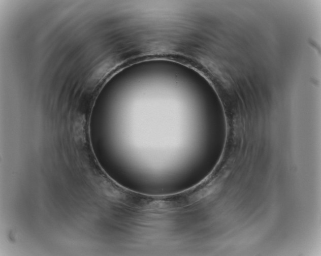 X0000095881265200801111125