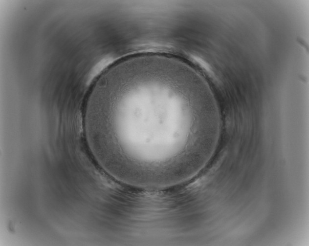 X0000095881267200801111125