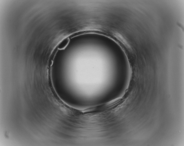 X0000095881268200801111125