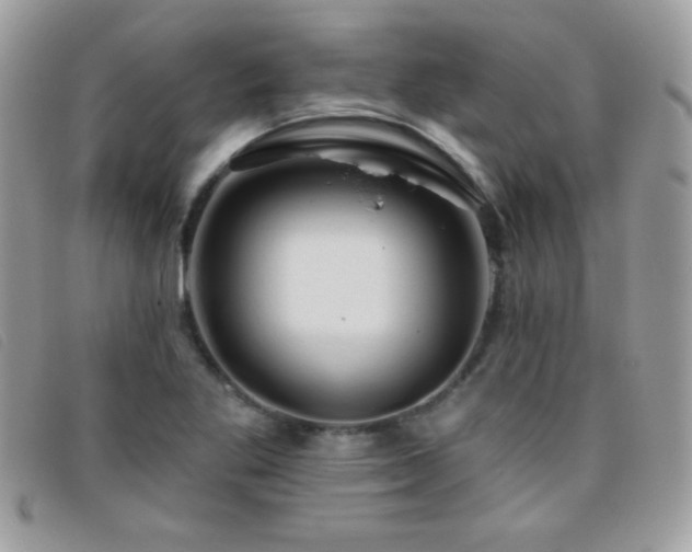 X0000095881269200801111125