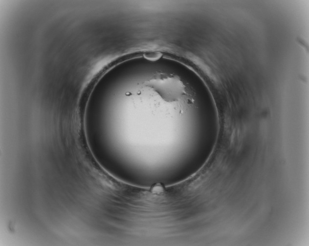 X0000095881270200801111125