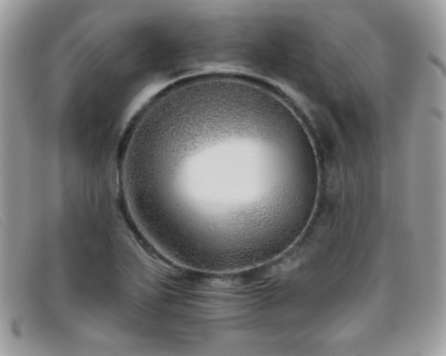 X0000095881271200801111125