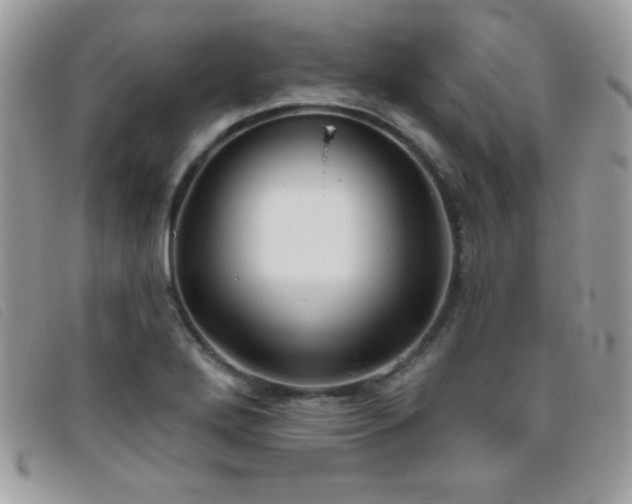 X0000095881272200801111125