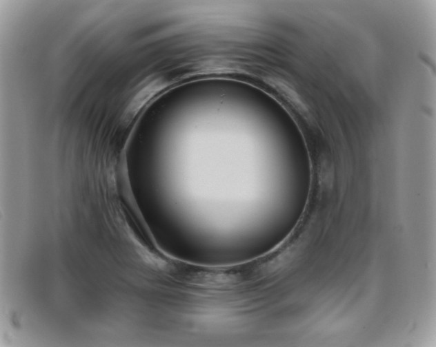 X0000095881273200801111125