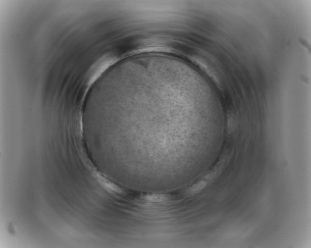 X0000095881274200801111125