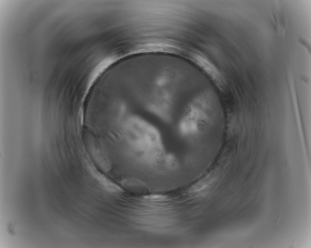 X0000095881275200801111125