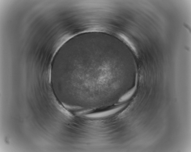 X0000095881276200801111125