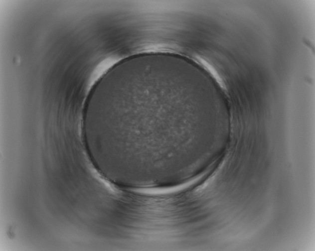 X0000095881277200801111125