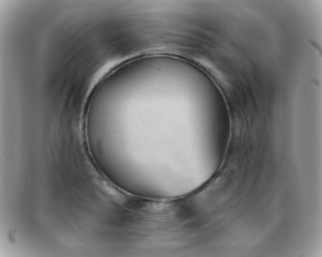 X0000095881278200801111125