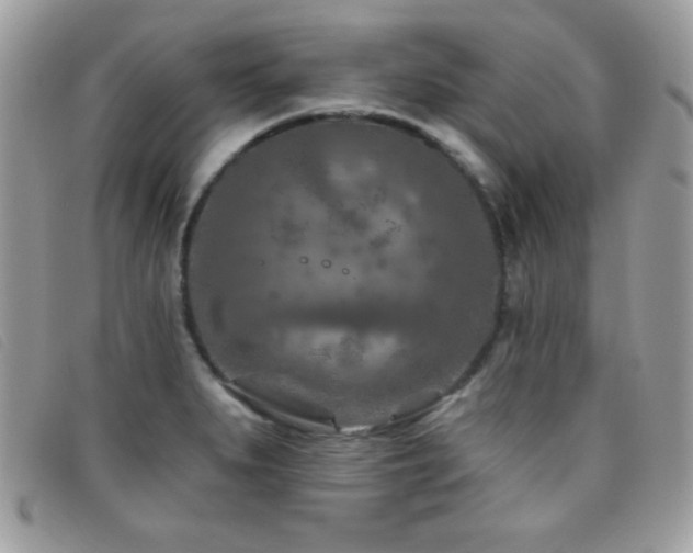 X0000095881279200801111125