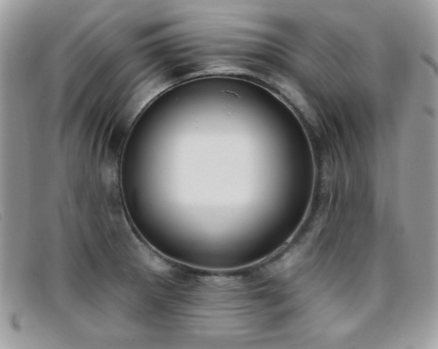X0000095881281200801111125
