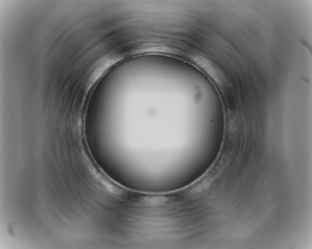 X0000095881282200801111125