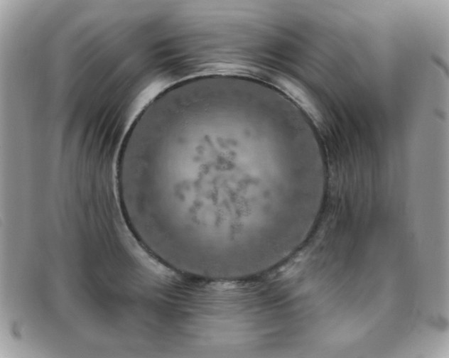 X0000095881283200801111125