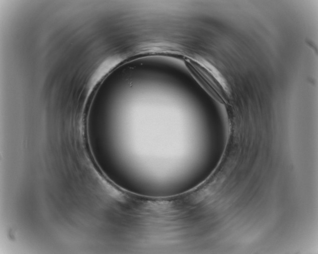 X0000095881285200801111125