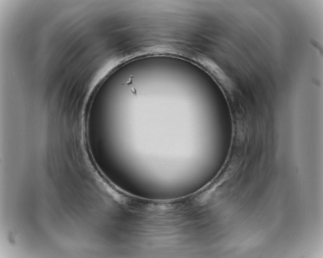 X0000095881286200801111125