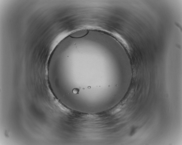 X0000095881287200801111125