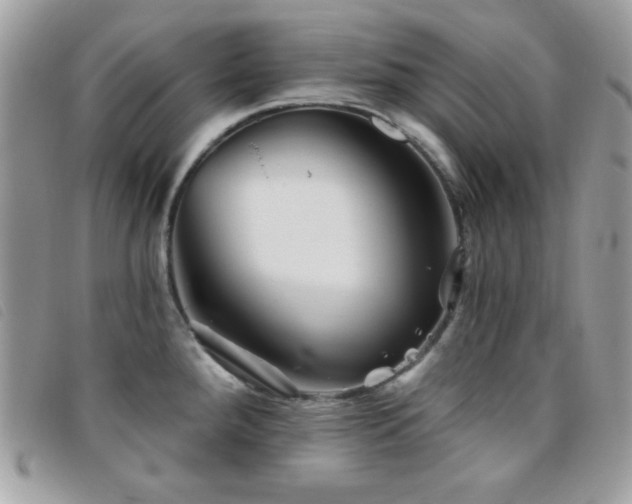 X0000095881288200801111125