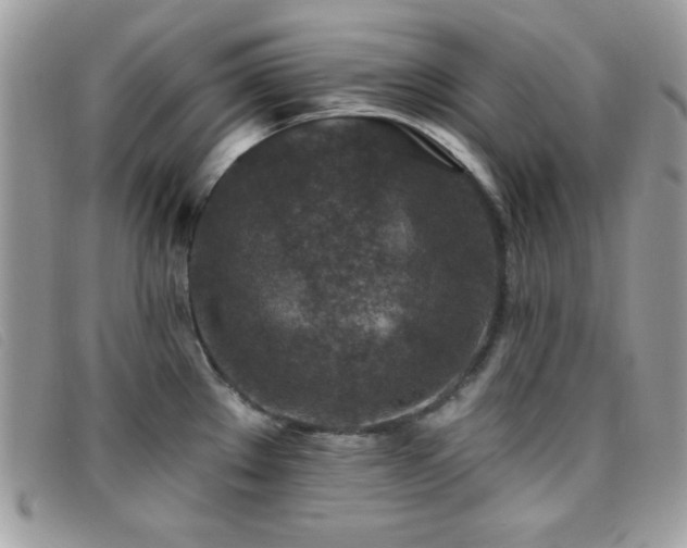X0000095881289200801111125