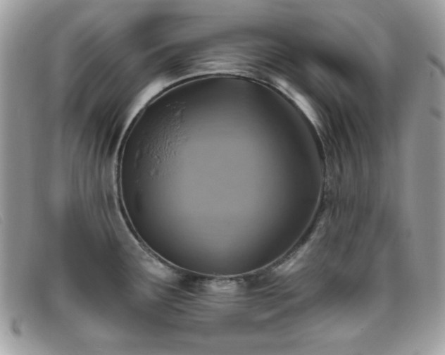 X0000095881291200801111125
