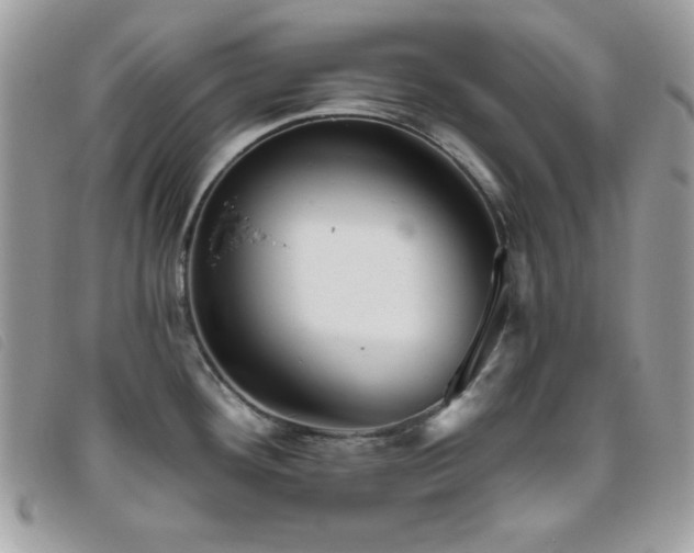 X0000095881292200801111125