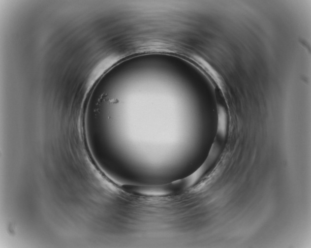 X0000095881293200801111125