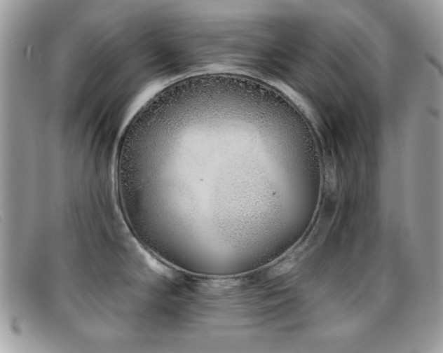 X0000095881294200801111125