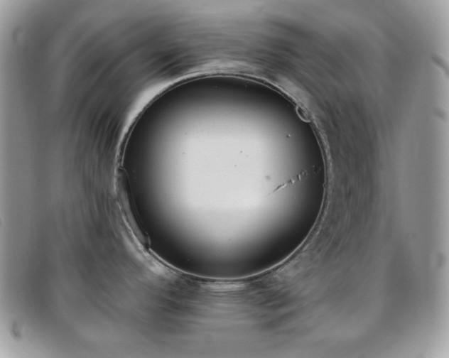 X0000095881296200801111125