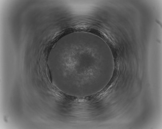 X0000095881297200801111124