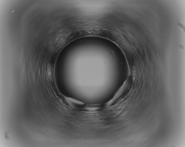 X0000095881298200801111124