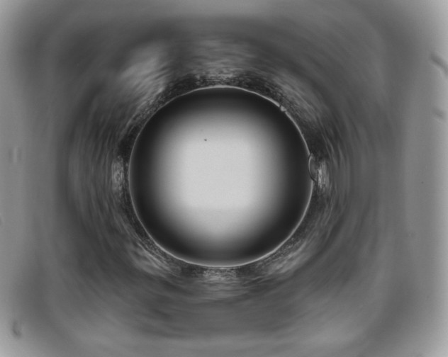 X0000095881299200801111124