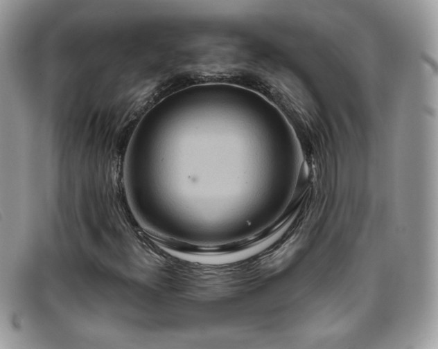 X0000095881300200801111124