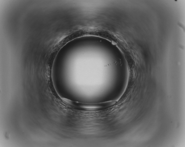 X0000095881301200801111124