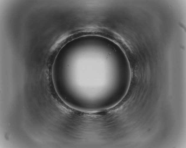 X0000095881304200801111124