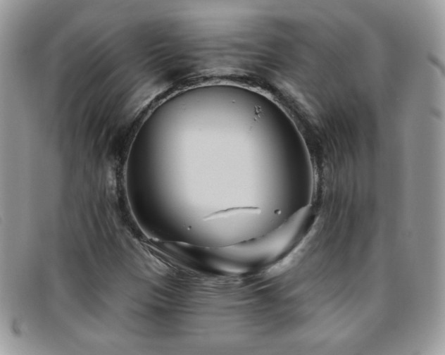 X0000095881305200801111124