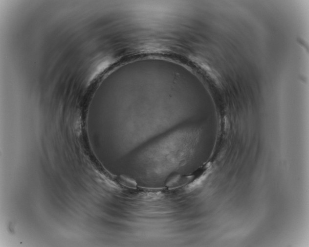 X0000095881306200801111124