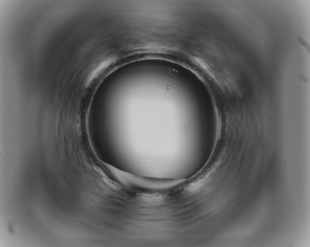 X0000095881307200801111124