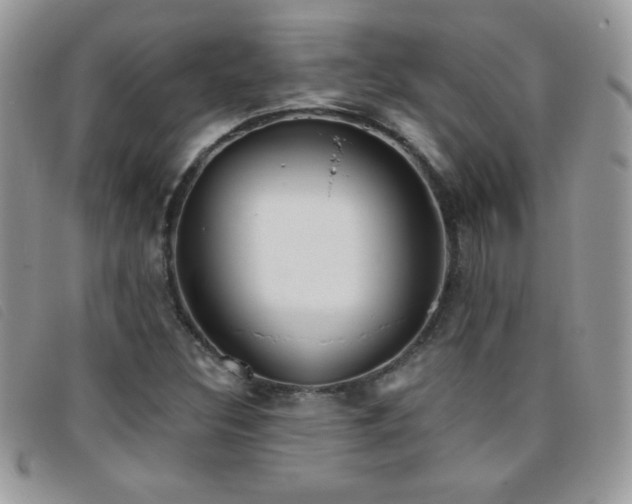 X0000095881308200801111124