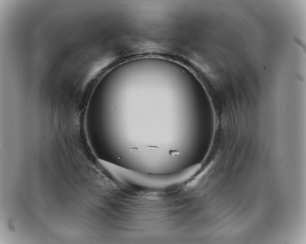 X0000095881309200801111124