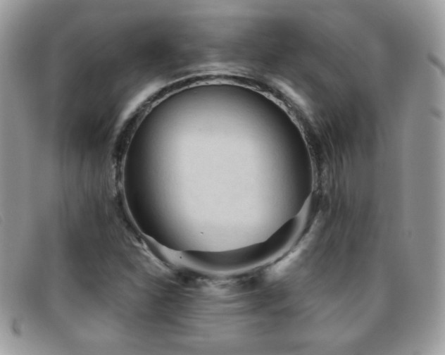 X0000095881310200801111124