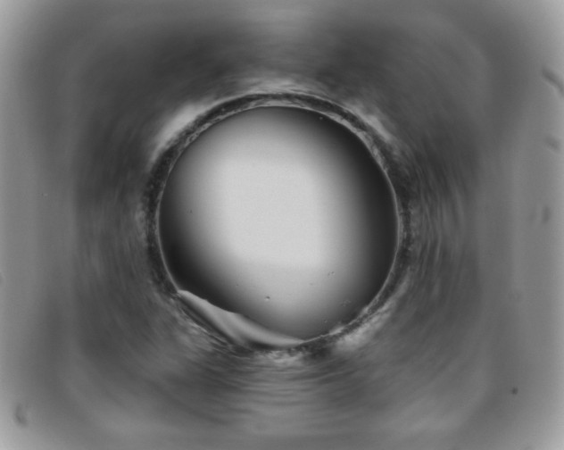 X0000095881311200801111124