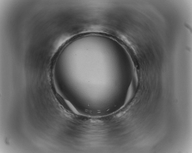X0000095881312200801111124