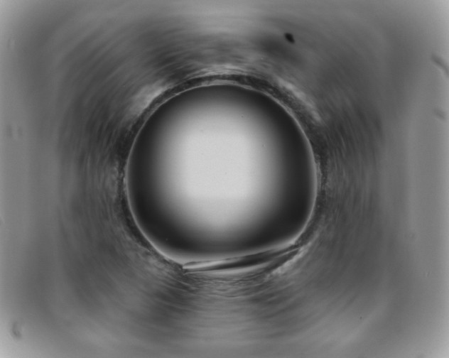 X0000095881313200801111124