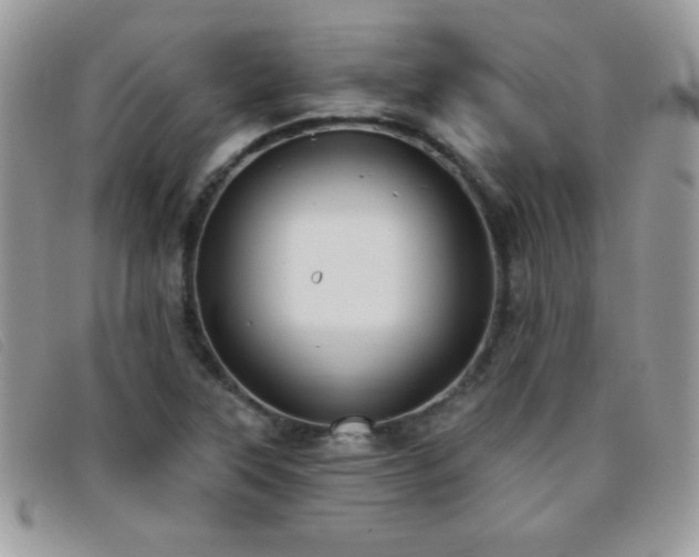 X0000095881315200801111124